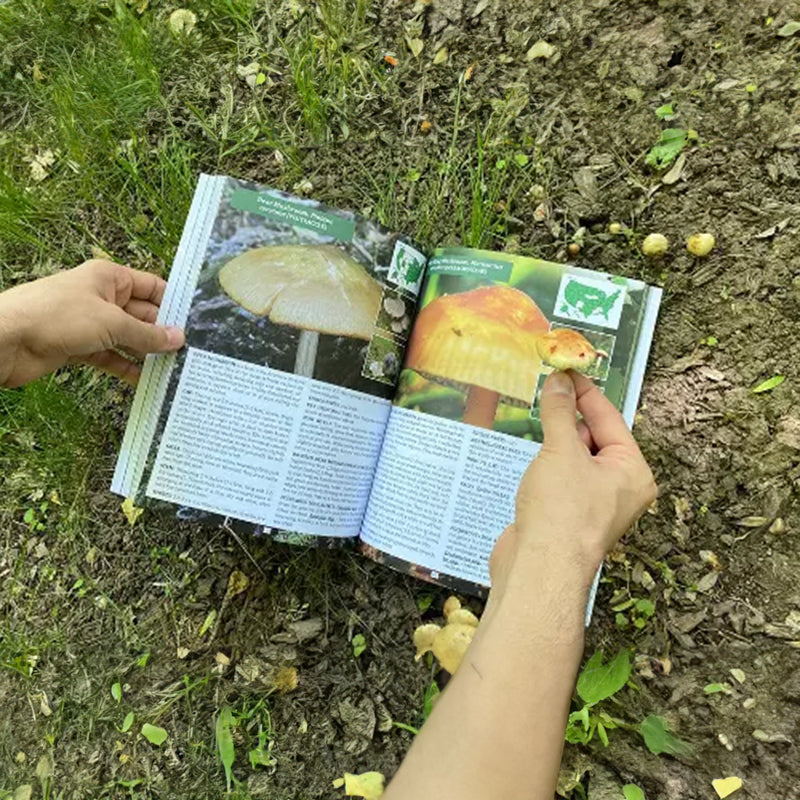 The Foragers Guide to Wild Foods - Ray's Green Space