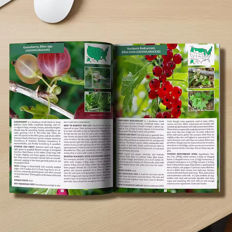 The Foragers Guide to Wild Foods - Ray's Green Space