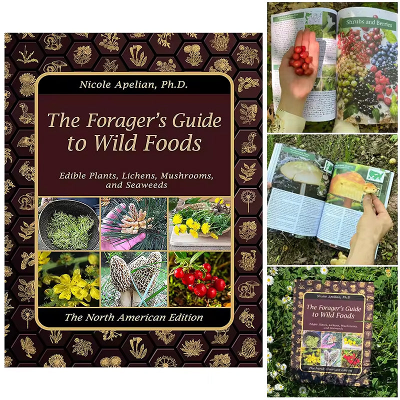 The Foragers Guide to Wild Foods - Ray's Green Space