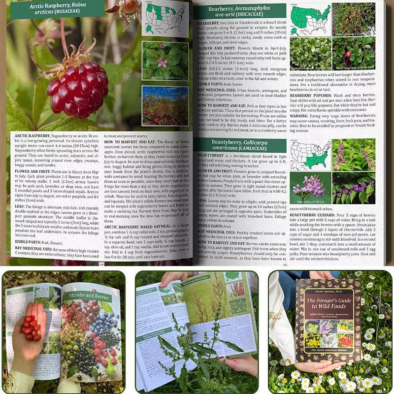 The Foragers Guide to Wild Foods - Ray's Green Space