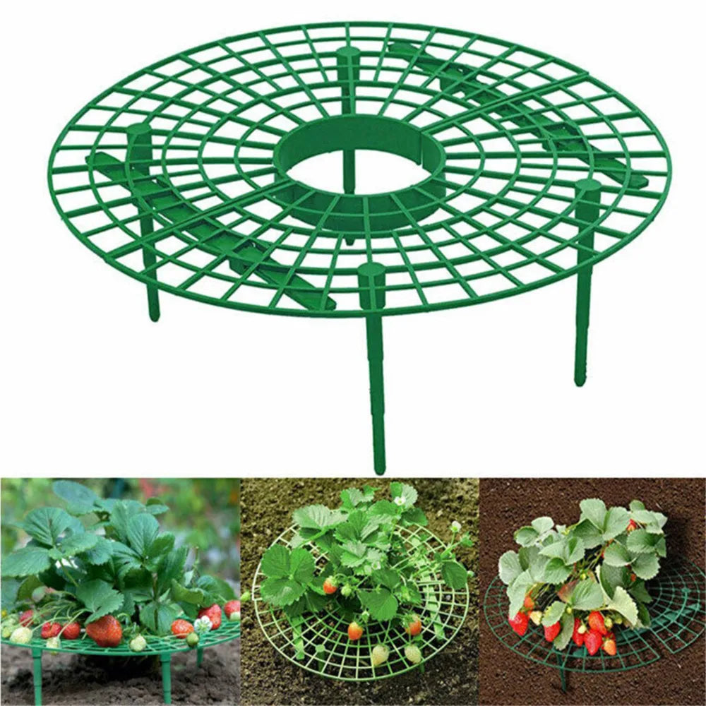 Stylish Balcony Vegetable Rack