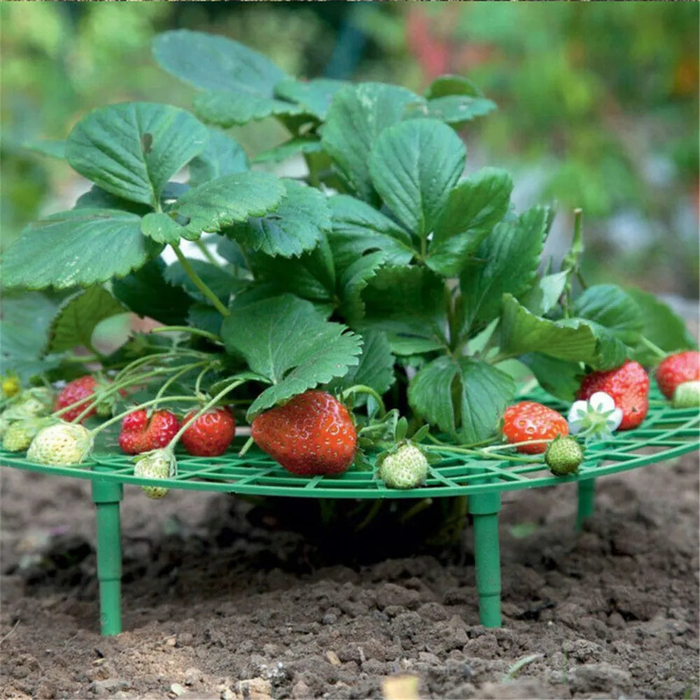 Stylish Balcony Vegetable Rack