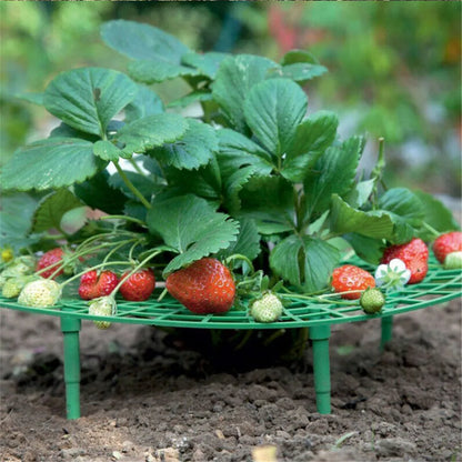 Stylish Balcony Vegetable Rack